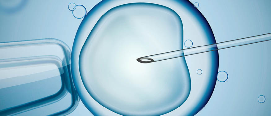 Kinstellar and Schoenherr Advise on Integral Capital Group's Acquisition of Calla Clinic