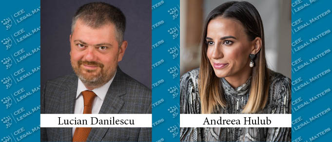 One Year In: Danilescu Hulub & Partners’ Road to Success