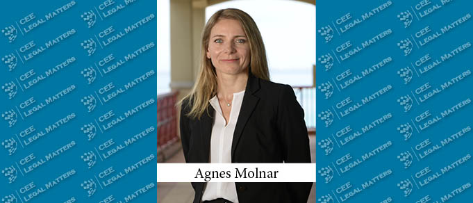 The Long Path to Paradise: Hungarian Lawyer Agnes Molnar Follows Her Muse Across the World