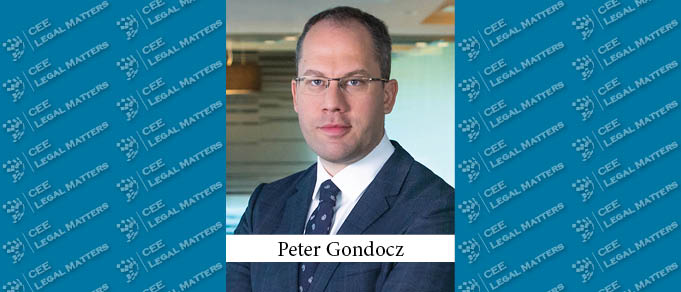 Foreign Direct Investment in Central Europe: Hungary